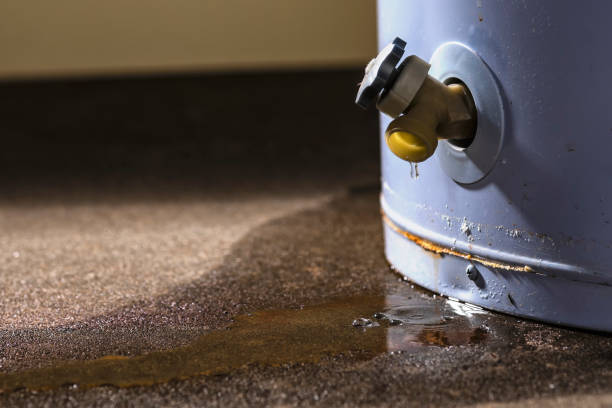 Best Water damage cleanup near me  in Line Acres, MO