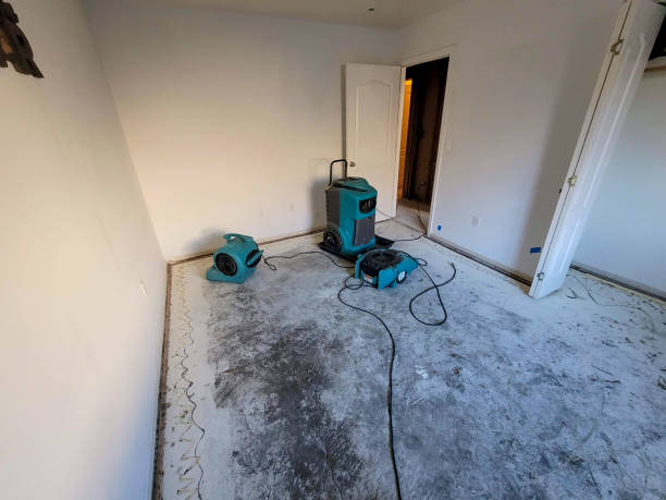 Best Residential water damage restoration  in Line Acres, MO