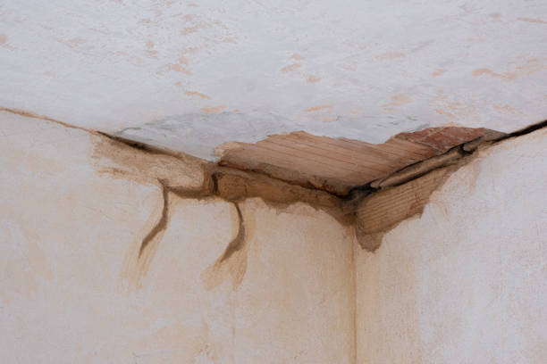 Best Fire Damage Restoration  in Line Acres, MO