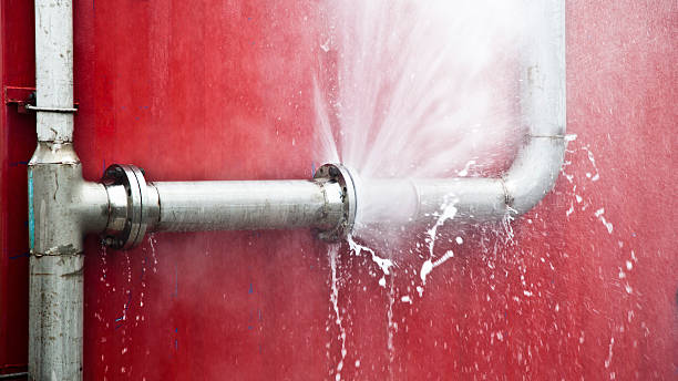 Best Carpet water damage restoration  in Line Acres, MO